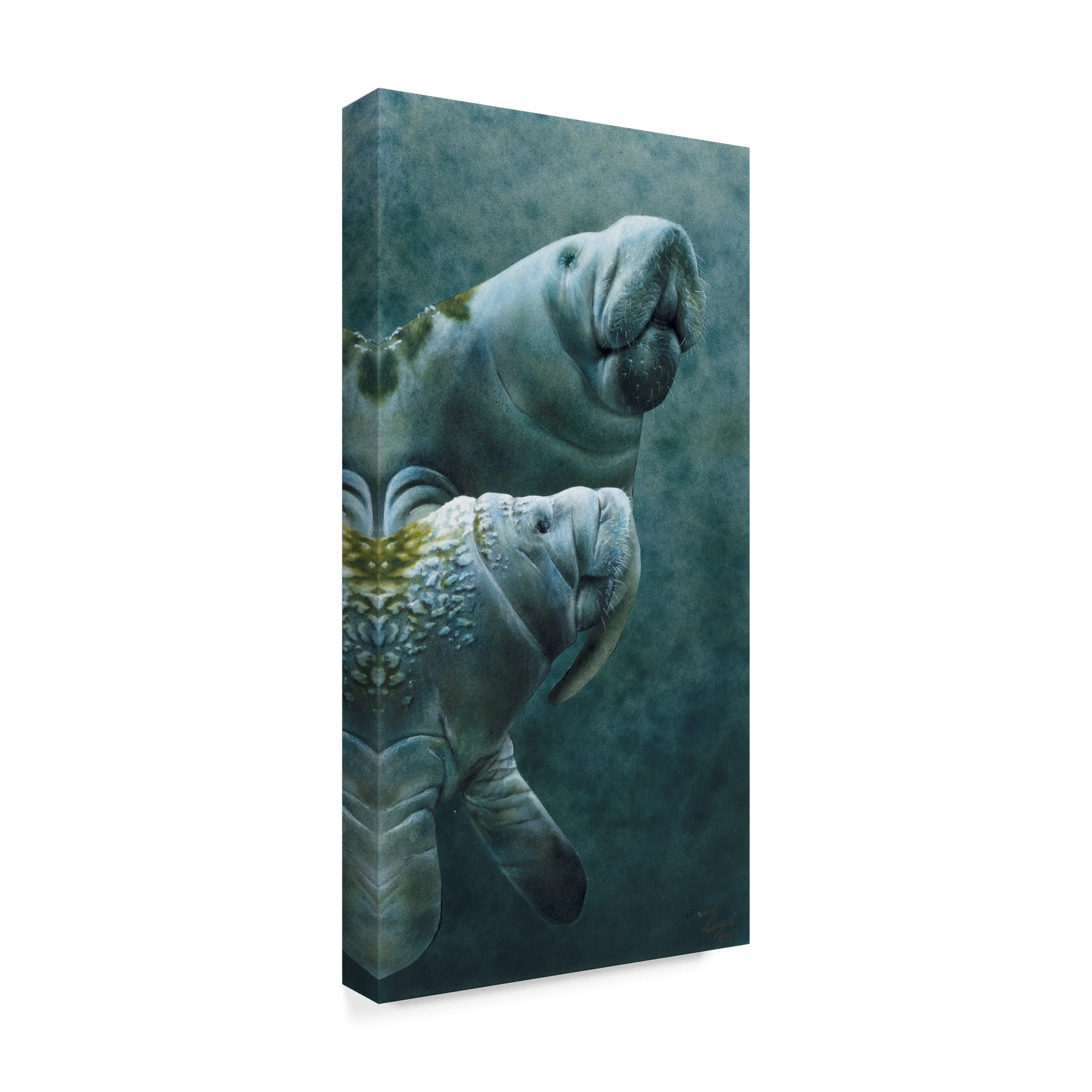 Trademark Fine Art 'Manatees' Canvas Art by Beverly Doyle