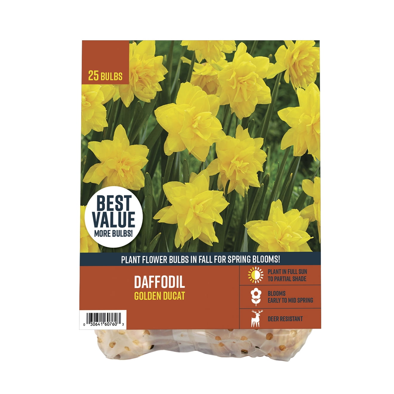 Van Zyverden Hydrangea Collection (Set of 2 Dormant Bare