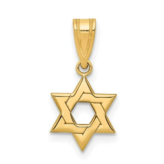 14k Yellow Gold Solid Polished back Religious Judaica Star of David Pendant Necklace 11x10mm Pendant for Women