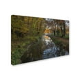thumbnail image 3 of Trademark Fine Art 'Take me to the Pond' Canvas Art by Michael Blanchette Photography, 3 of 4