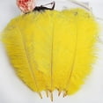 thumbnail image 3 of Nvzi 24pcs Yellow Ostrich Feathers Natural Bulk 10-12Inch 25cm-30cm for Wedding Party Centerpieces Easter Gatsby and Home Decorate Ostrich Feathers, 3 of 5