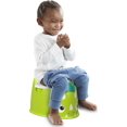 thumbnail image 4 of Fisher-Price Dino Potty For Infants, 4 of 7