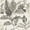 White, variant on Kenneth James Maui White Botanical Wallpaper, 20.5-in by 33-ft, 56.4 sq. ft