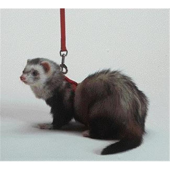 kitten or rabbit's Adjustable  harness for ferret Black harness with red apple print. Ferret harness and leash set