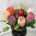 thumbnail image 4 of Coofit Artificial Flower Lifelike Protea Flower Arrangement Vase Flower for Wedding, 4 of 5