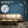 thumbnail image 5 of Rebelduck 4 Color Temperature Stepless Dimmer Remote Touch Control Adjustable Gooseneck LED Floor Lamp, 5 of 7