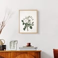 thumbnail image 4 of Vintage Floral Print CCXX - 10in. x 8in. Vintage Framed Print in Natural Wood Frame, 4 of 4