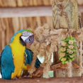thumbnail image 2 of 1 String of Parrot Toy Bird Nibbling Plaything Rattan Ball Toys Pet Supplies, 2 of 2