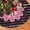 Breast Cancer Awareness Flower, variant on Custom Christmas Tree Skirt 36", Personalized Red Xmas Tree Skirt Plaid with Photo Logo Image Text, Xmas Tree Skirts Mat for Holiday Home Farmhouse Party Tree Decorations.
