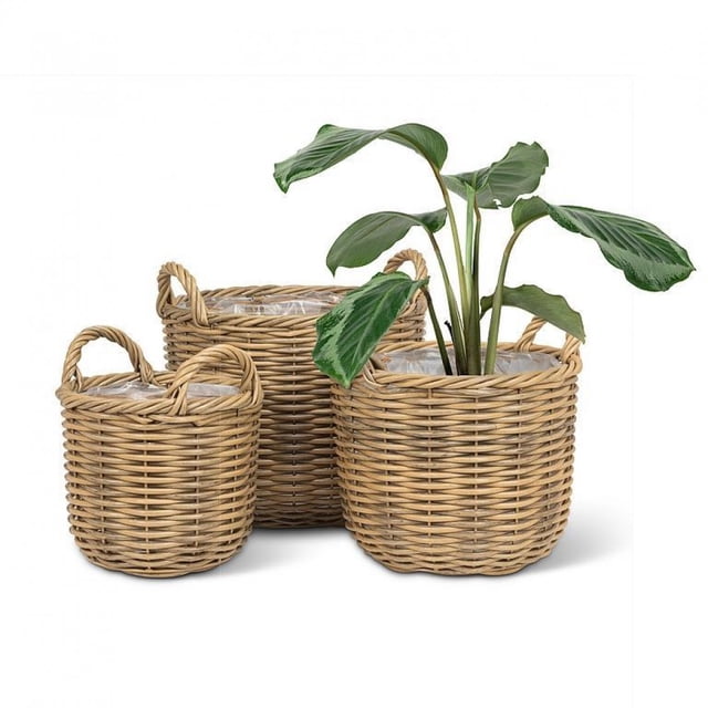 Set Of 3 Tall Baskets With Handles Baskets
