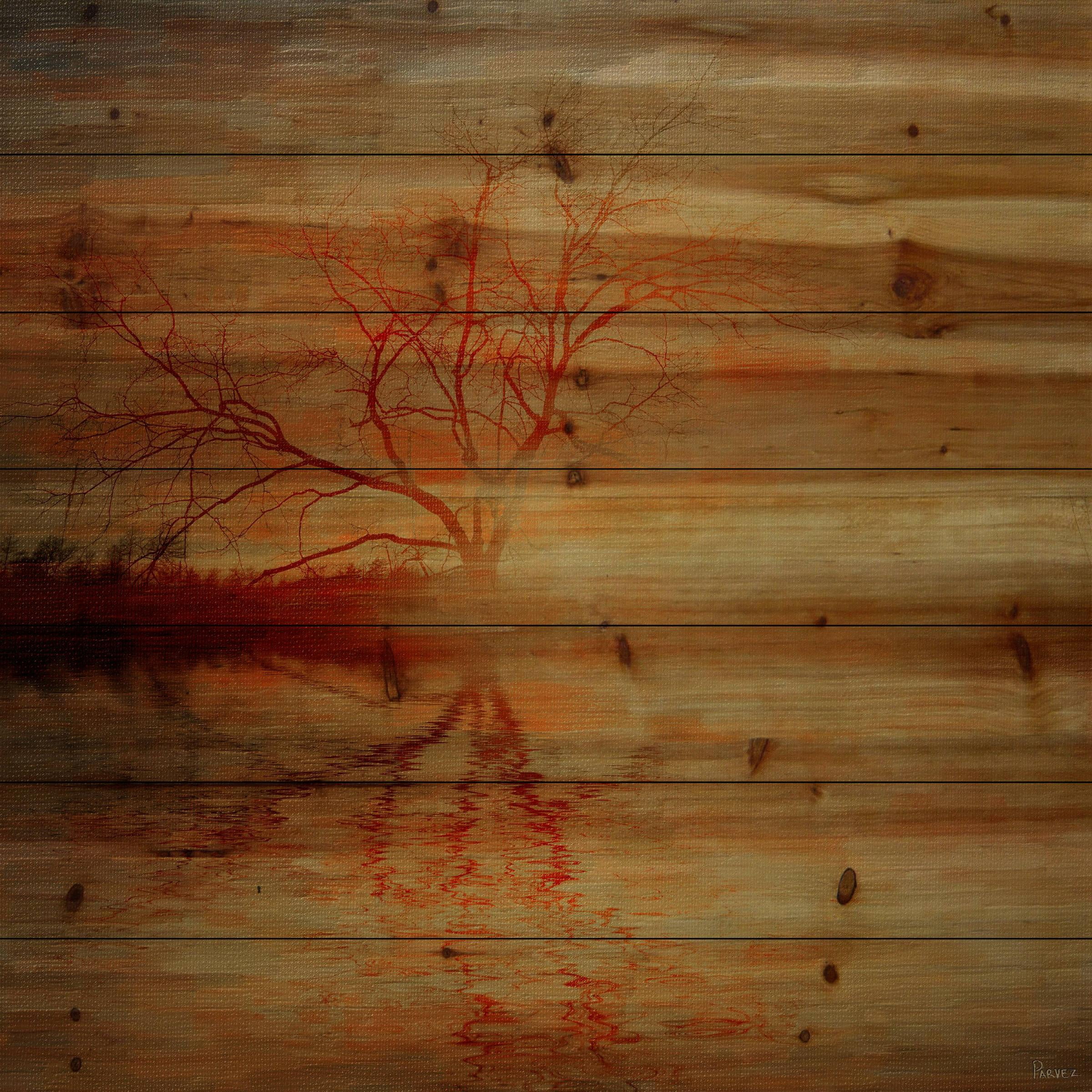 Parvez Taj Amazing Sunset Pinewood Wall Art