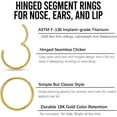 thumbnail image 3 of 2Pcs Women Men Titanium Nose Rings Hoops 20G 18G 16G Hinged Nose Clicker for Nostril Septum Cartilage Helix Tragus Conch Lip Ear Lobe Piercings Diameter 6/7/8/9/10/12mm Sliver-Gold-Black-Rose Gold, 3 of 6