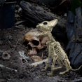 thumbnail image 2 of Esqueleto de perro en miniatura decorativo para Halloween, huesos de perro en cuclillas de plástico con articulaciones activas, 2 of 4