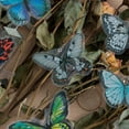 thumbnail image 3 of Una variedad de pegatinas impermeables del programa de letras transparentes de la serie Butterfly, recortes para portátiles y equipaje de monopatín, 3 of 5