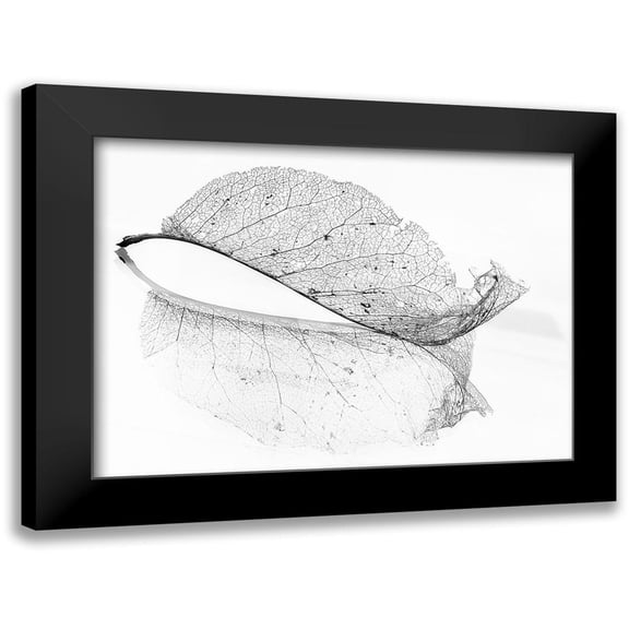 Holmstrom, Katarina 14x11 Black Modern Framed Museum Art Print Titled - The old leaf