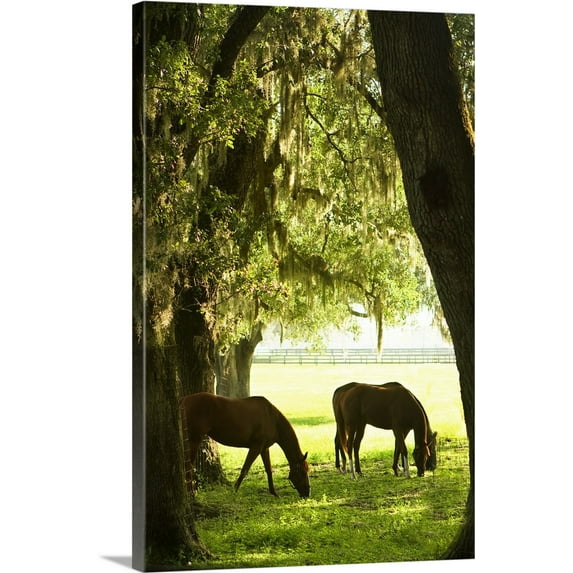 Great BIG Canvas | "Horses in the Sunrise 6" Canvas Wall Art - 20x30