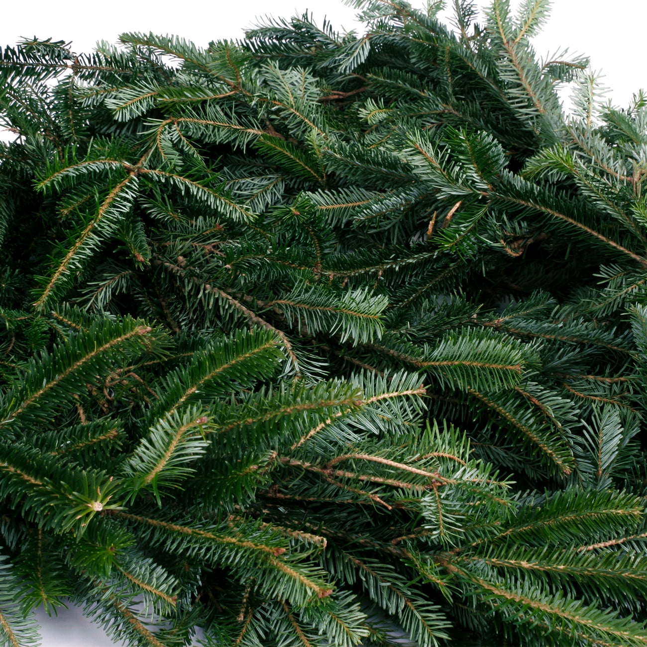 Van Zyverden Decorated Fir Garlands, 12' (Green)