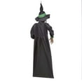 thumbnail image 2 of Home Accents Holiday 48 in. Animated Hanging Witch, 2 of 4