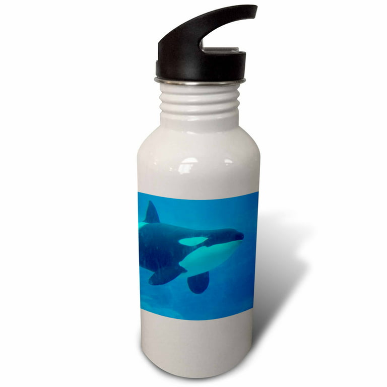 orca killer whale underwater blue 21 oz Sports Water Bottle wb-182103-1 