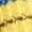 Yellow Lily, variant on No Boundaries Striped Crochet Coverup Dress, Women’s XXS-XXL