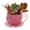 Pink, variant on mdesiwst Vintage Teacup Planter Iron Floral Cutout Flowerpot Decorative Plant Pot for Succulents Herbs Flowers Indoor Outdoor Garden Decor