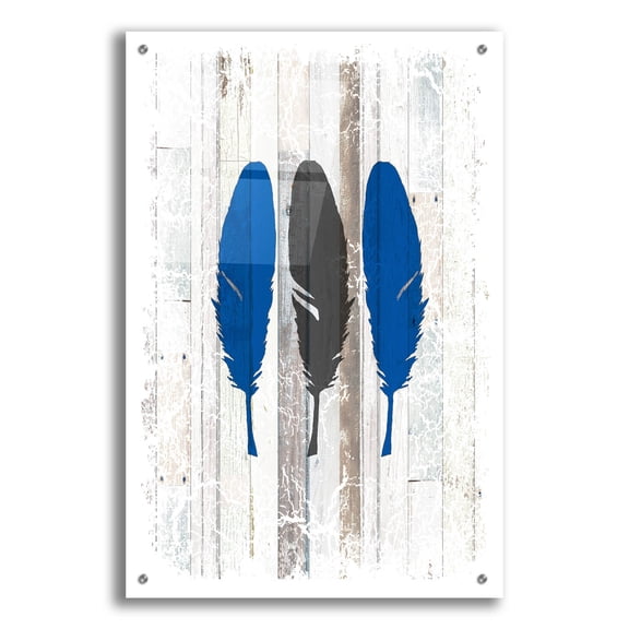 Epic Art 'The Blue Moose - Feathers' by Lightbox Journal, Acrylic Glass Wall Art, 24"x36"