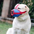thumbnail image 4 of Bozal de Malla Transpirable Rojo Verde Ajustable Antiladridos para Perros Pequeños y Medianos L, 4 of 5