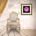 thumbnail image 3 of Reynolds, Richard 15x15 Gold Ornate Wood Framed with Double Matting Museum Art Print Titled - Echinopsis Maria Piazza, 3 of 4