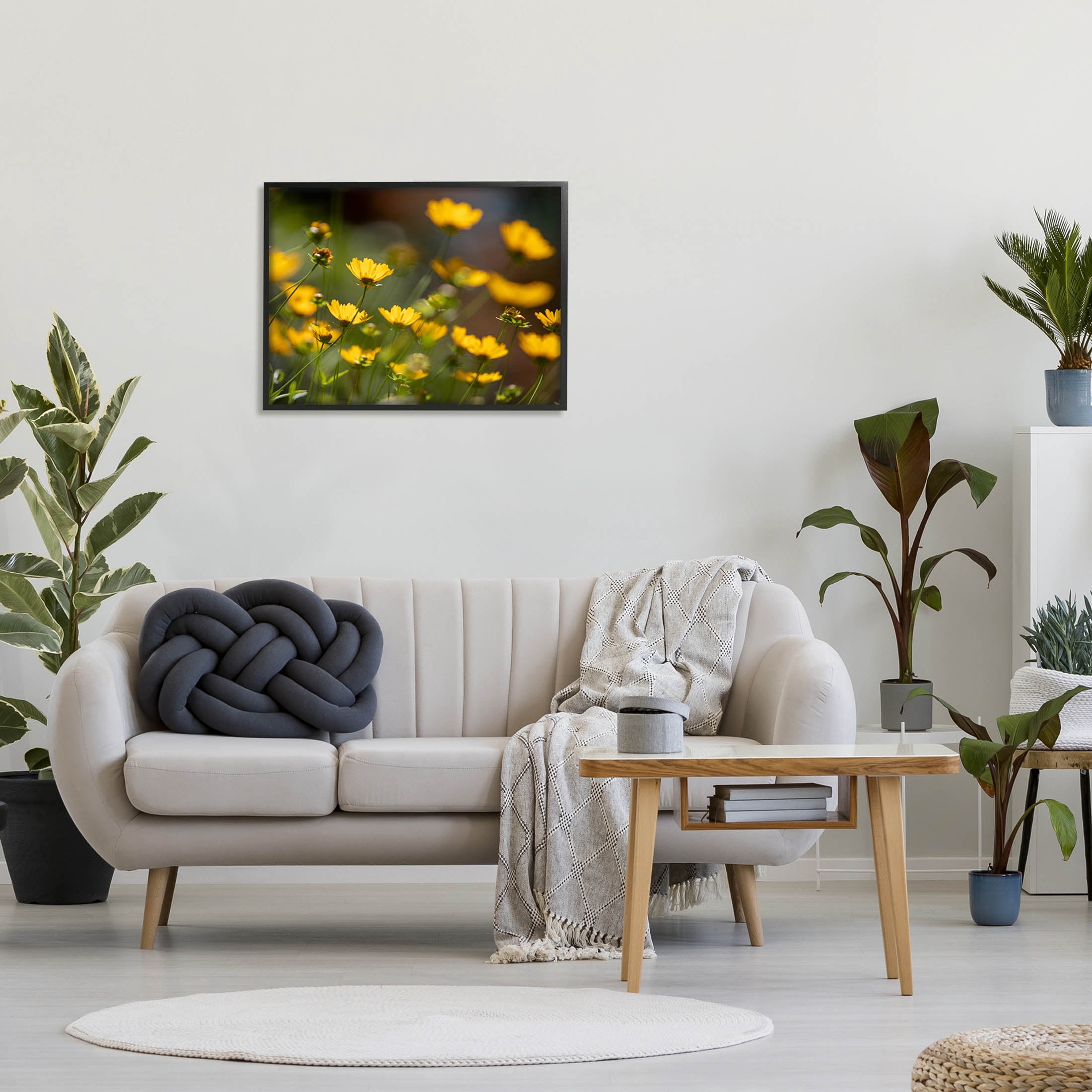 Yellow Daisy Wildflower Field Botanical & Floral Photograph Black Framed Art Print Wall Art