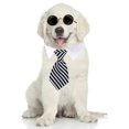 thumbnail image 1 of Mascota corbata perro pajarita perro raya corbata mascota bufanda escote falso toalla de agua MFZFUKR BST2002697-1, 1 of 5