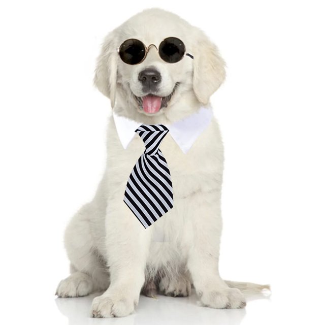 Mascota corbata perro pajarita perro raya corbata mascota bufanda escote falso toalla de agua MFZFUKR BST2002697-1