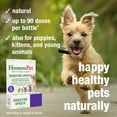 thumbnail image 4 of HomeoPet DIGESTIVE UPSETS Digestive Health Support Drops for Pets, 15 mL, 4 of 7
