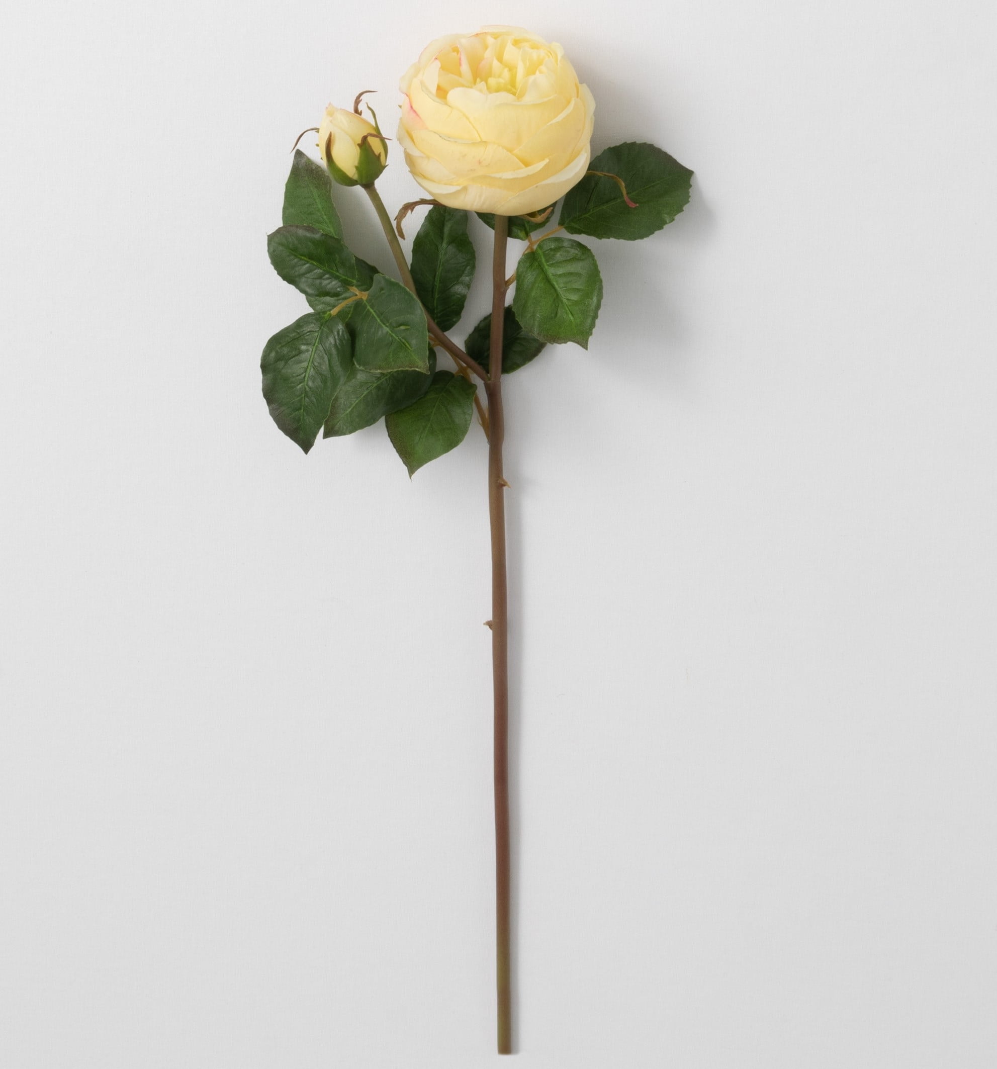 Sullivans Artificial English Rose Stem 19"H Yellow Flower