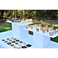 thumbnail image 3 of Crown Display Plastic Mini Square Dessert/Appetizer Plates 2.5 Inch. x 2.5 Inch. (Black) - 100 Ct, 3 of 8