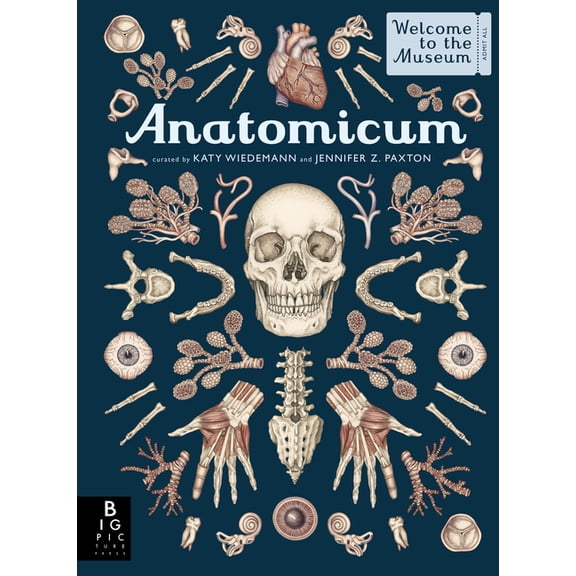 Welcome to the Museum Anatomicum: Welcome to the Museum, (Hardcover)
