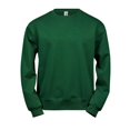 thumbnail image 1 of Tee Jays - Sweat POWER - Homme, 1 of 2