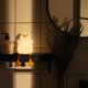 thumbnail image 2 of Luce Notturna per Bambini, Luce Notturna a LED Senza Piccole Parti Luce Infermieristica Dimmerabile Ricarica al Tocco Lampada Notturna per Asilo Nido Simpatico Gabbiano（9688126mm，0.5w）, 2 of 5