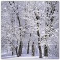thumbnail image 1 of Picture-Tiles.com: Winter Ceramic Tile Wall Mural WAL501225-44L. 32"W x 32"H using (16) 8" x 8" Ceramic Tiles-Satin Finish, 1 of 3