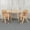 Natural, variant on Emma + Oliver 21.875"W x 26.625"L Blue Plastic Activity Table Set-2 Chairs