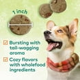 thumbnail image 2 of Honest To Goodness Plant Snacks Holiday Pumpkin Spice Crunchy Dog Treats 4 oz, 2 of 6