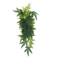 thumbnail image 1 of VERDANVERSE Accesorios Para Terrarios Con Colgantes Falsas De En, 1 of 6