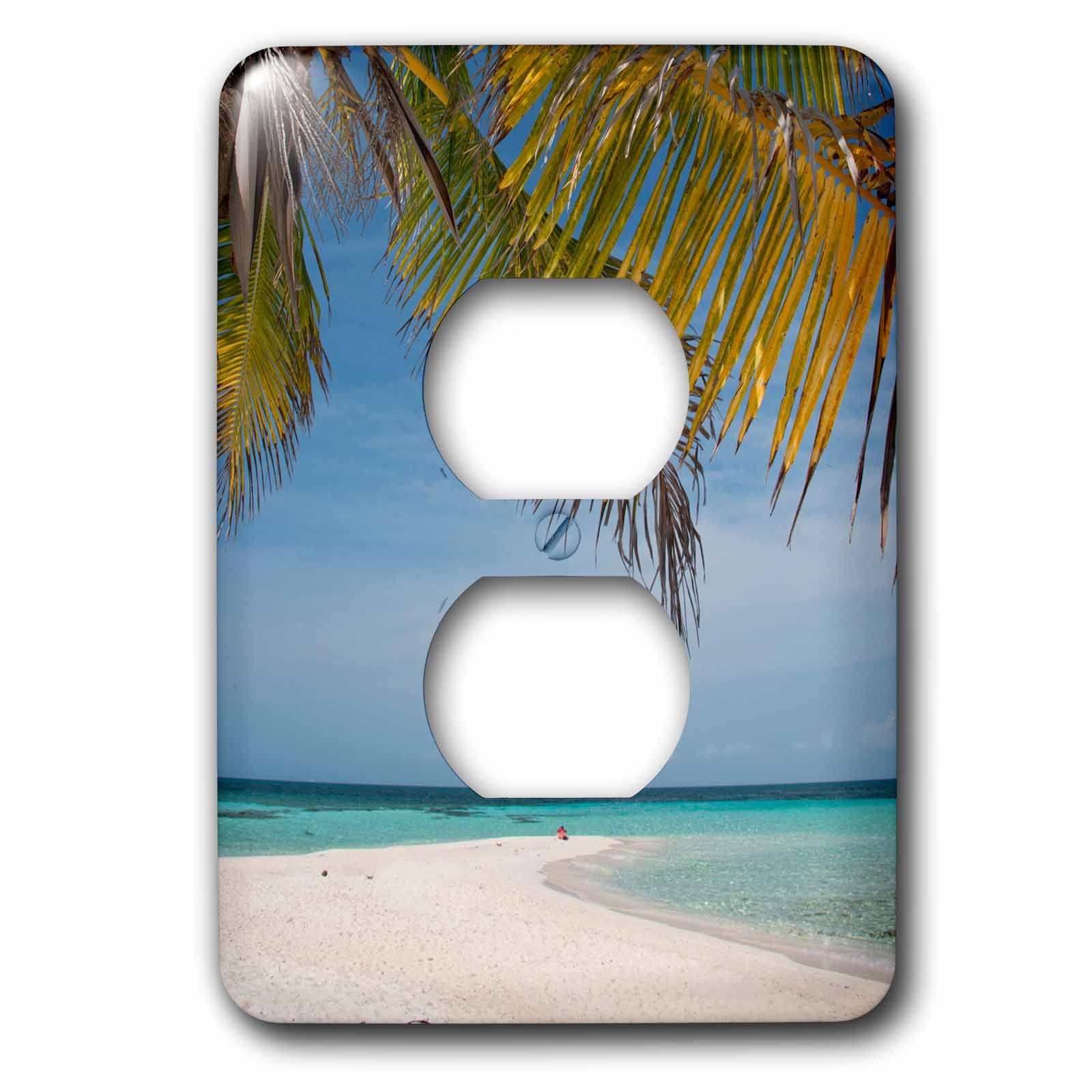 Belize. Goff Caye Barrier Reef island, Palm tree and white sand beach