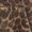brown, variant on FEASNJEN Women's Leopard Print Pullover Hoodie, Long Sleeve Casual Sweatshirt with Pocket