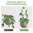 thumbnail image 3 of Marco De Soporte Para Plantas, 5 Piezas, Cuerpo Liviano, Acrílico Transparente, Marco Para Plantas En Forma De U, Elegante, Práctico Con 50 Correas Para Plantas Trepadoras Y, 3 of 7