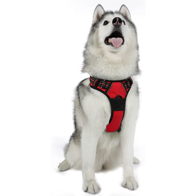 Rabbitgoo Arnés para Perros, Arnés para Mascotas sin Tirones con 2 Clips para Correa, Chaleco para Perros Acolchado Suave y Ajustable, Chaleco Oxford Reflectante para Mascotas sin asfixia con asa de f