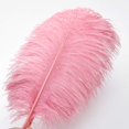 thumbnail image 2 of Plumas de avestruz rosa Ballinger, 12 unidades, 35 a 40 cm, tamaño grande, 2 of 8