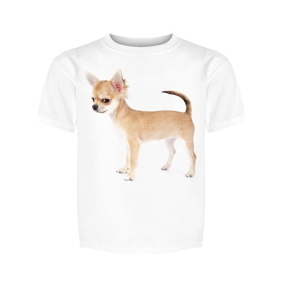 Very Cute Chihuahua Posing Tee Girl's -Image by Shutterstock