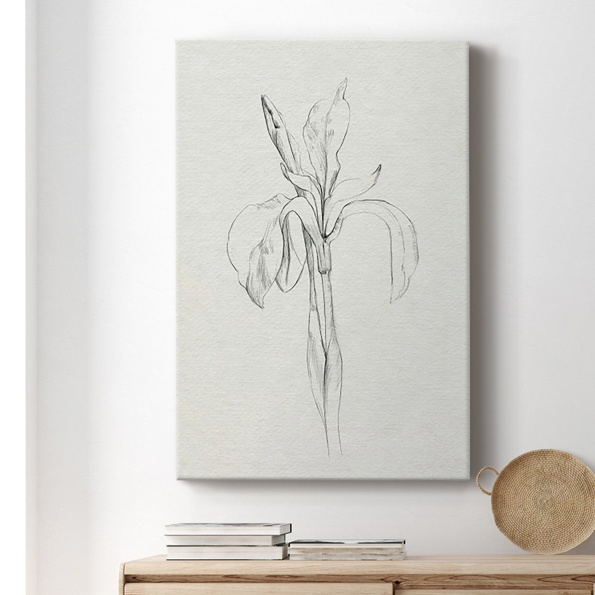 Neutral Iris Sketch II Premium Gallery Wrapped Canvas - Ready to Hang