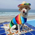thumbnail image 5 of Sombrero para perro, mini sombrero de paja, sombreros mexicanos, sombrero de fiesta para mascotas pequeñas/cachorro/gato, 5 of 5