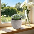 thumbnail image 3 of Small Fake Plants Realistic Lifelike Artificial Potted Succulents, Mini Durable Plastic 2.7x2.6x2.6 in with Pot Faux Plants for Home Office, Kitchen, and Indoor Table Decor, 3 of 6